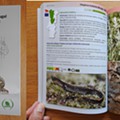 Field guides - répteis.jpg